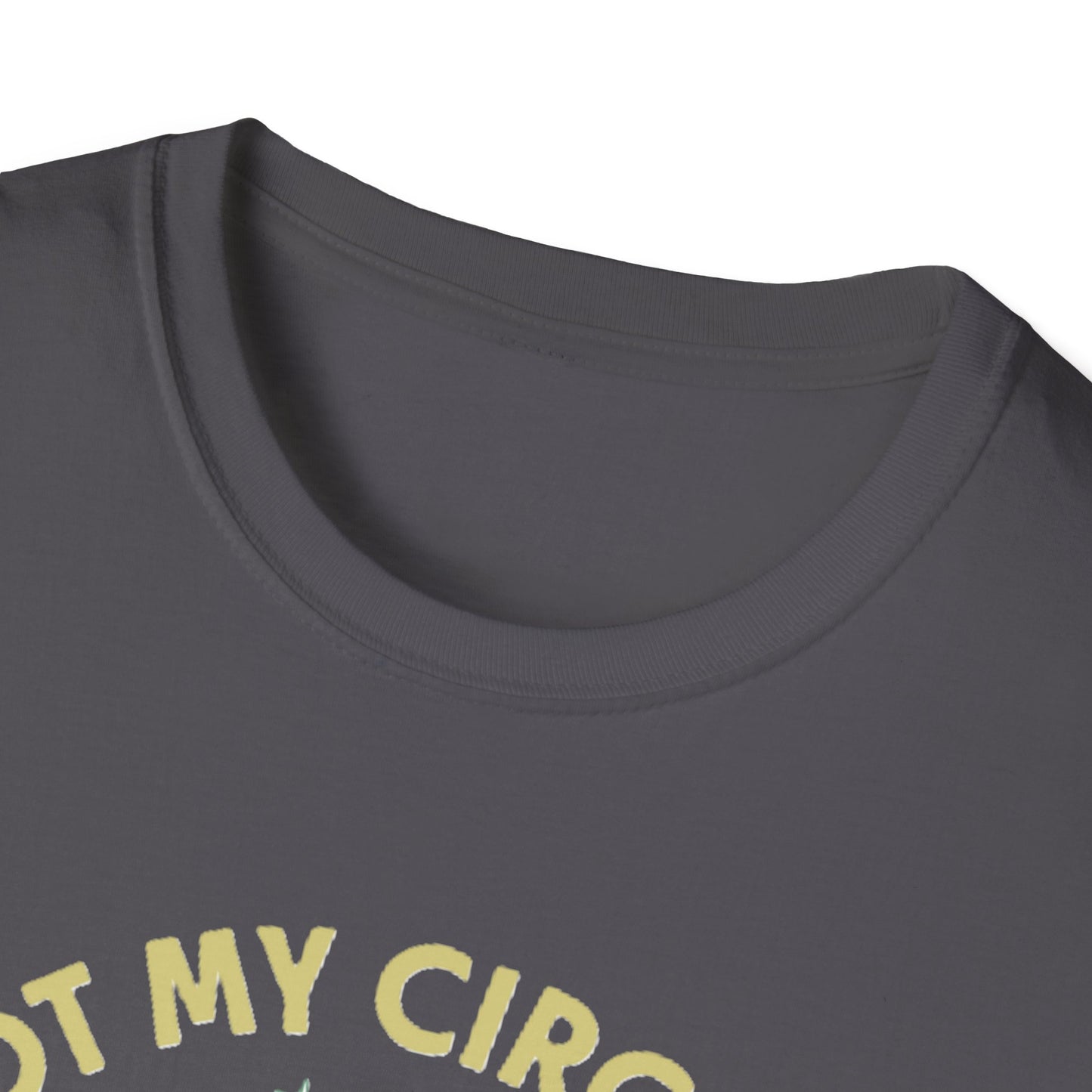 Funny Quote Unisex T-Shirt, Casual Tee for Everyday Wear, Gift for Friends, Humor Shirt, Great for Birthdays, Parties, and Holidays