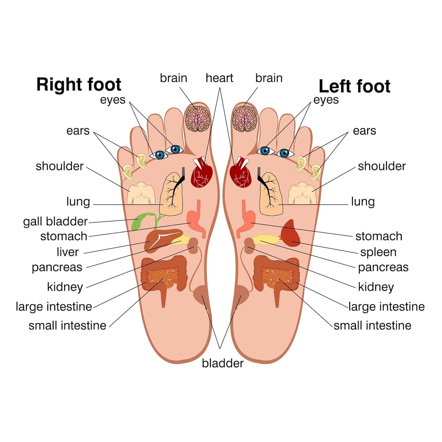 Sole Serenity Foot Pads - Zeolite Mineral, Ginger Root, Wormwood, Bamboo Vinegar, Foot Spa for Tired Feet (Good Night - 1 Pack)