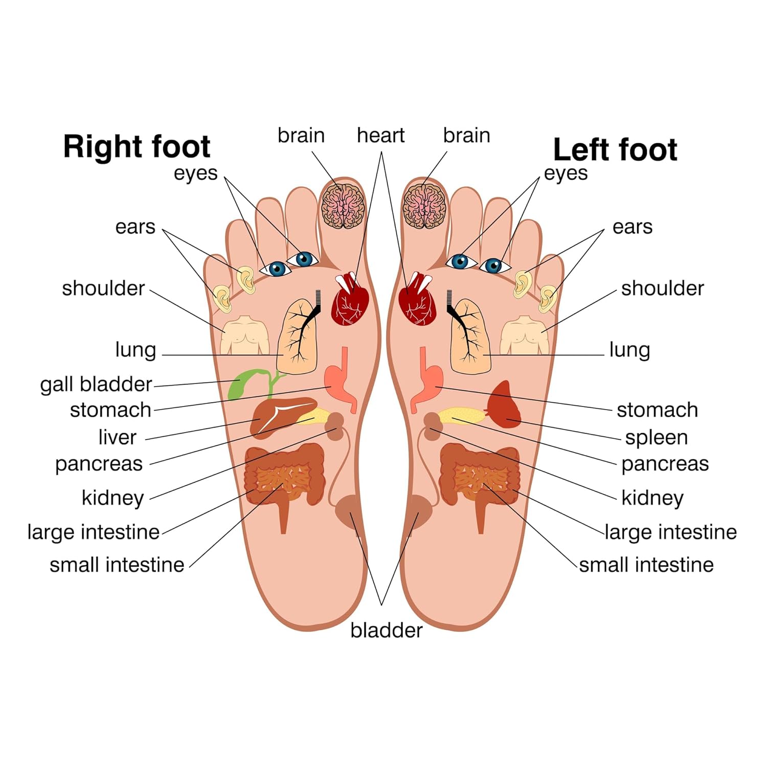 Sole Serenity Foot Pads - Zeolite Mineral, Ginger Root, Wormwood, Bamboo Vinegar, Foot Spa for Tired Feet (Good Night - 1 Pack)